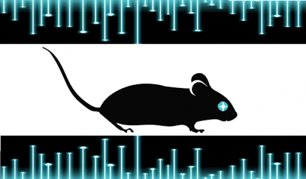 Cybermouse 깃발